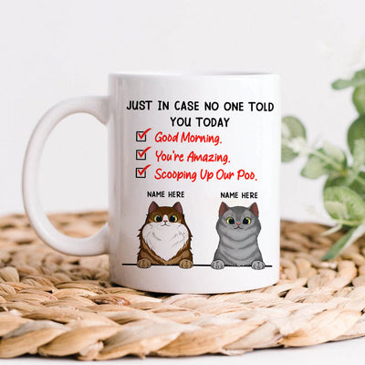 89Customized Just In Case No One Tell You Today Personalized Mug