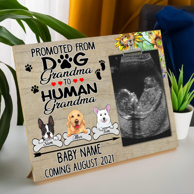 89Customized Promoted from dog grandma to human grandma announcement gift personalized photo clip frame