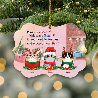 89Customized You need to feed us and scoop up our poo personalized ornament