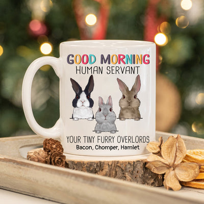 89Customized Good Morning Human Servant Rabbits Personalized Mug