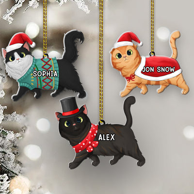89Customized Cat Lover Personalized Ornament