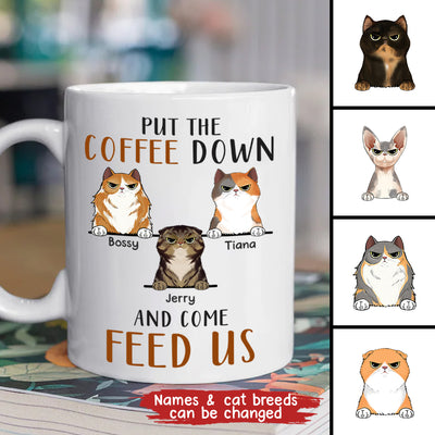 89Customized Put the coffee down and come feed us Cat Lovers Personalized Mug
