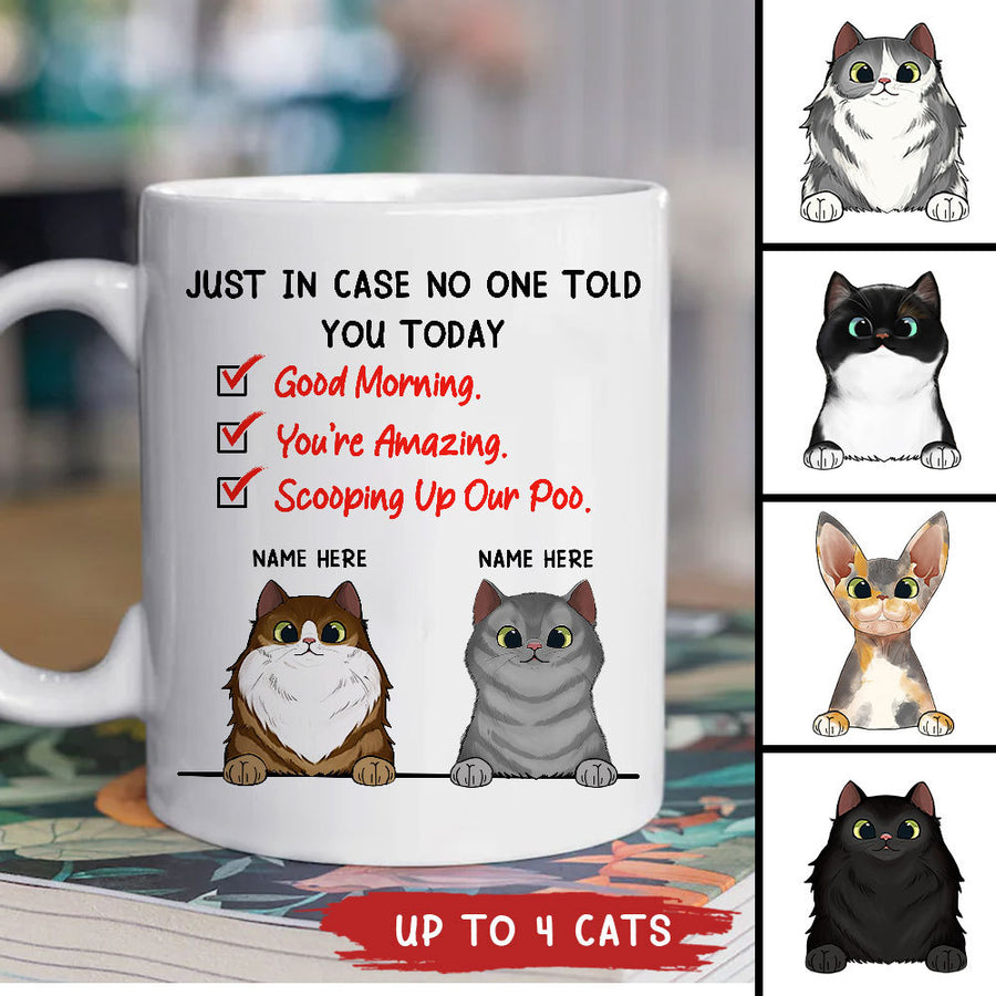 89Customized Just In Case No One Tell You Today Personalized Mug