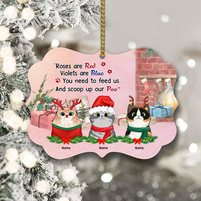 89Customized You need to feed us and scoop up our poo personalized ornament