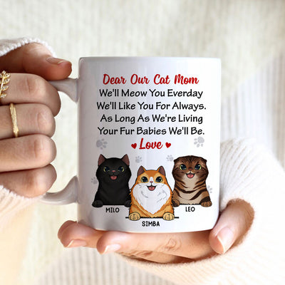 89Customized We'll Meow You Everyday Personalized Mug