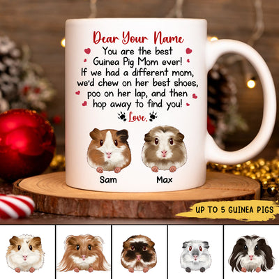 89Customized You Are The Best Guinea Pig Mom Ever Personalized Mug