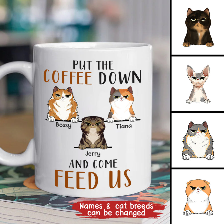 89Customized Put the coffee down and come feed us Cat Lovers Personalized Mug