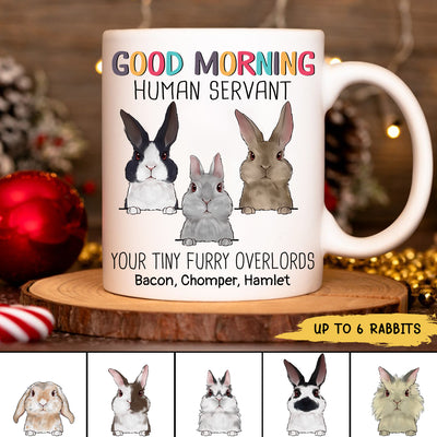 89Customized Good Morning Human Servant Rabbits Personalized Mug
