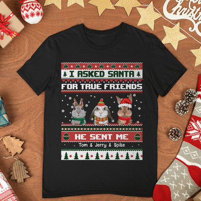 89Customized I Asked Santa For A True Friend He Sent Me My Rabbits Personalized Shirt